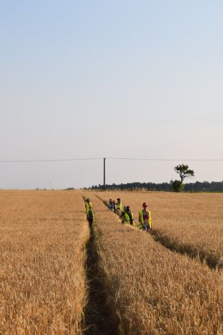 Ukázka historie roku 2015